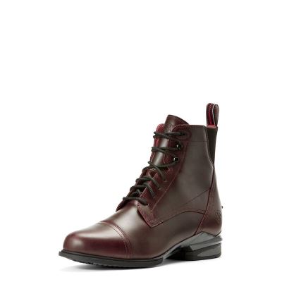 Ariat Performer Nitro - Paddock Laarzen Chocola Dames - 19120-624